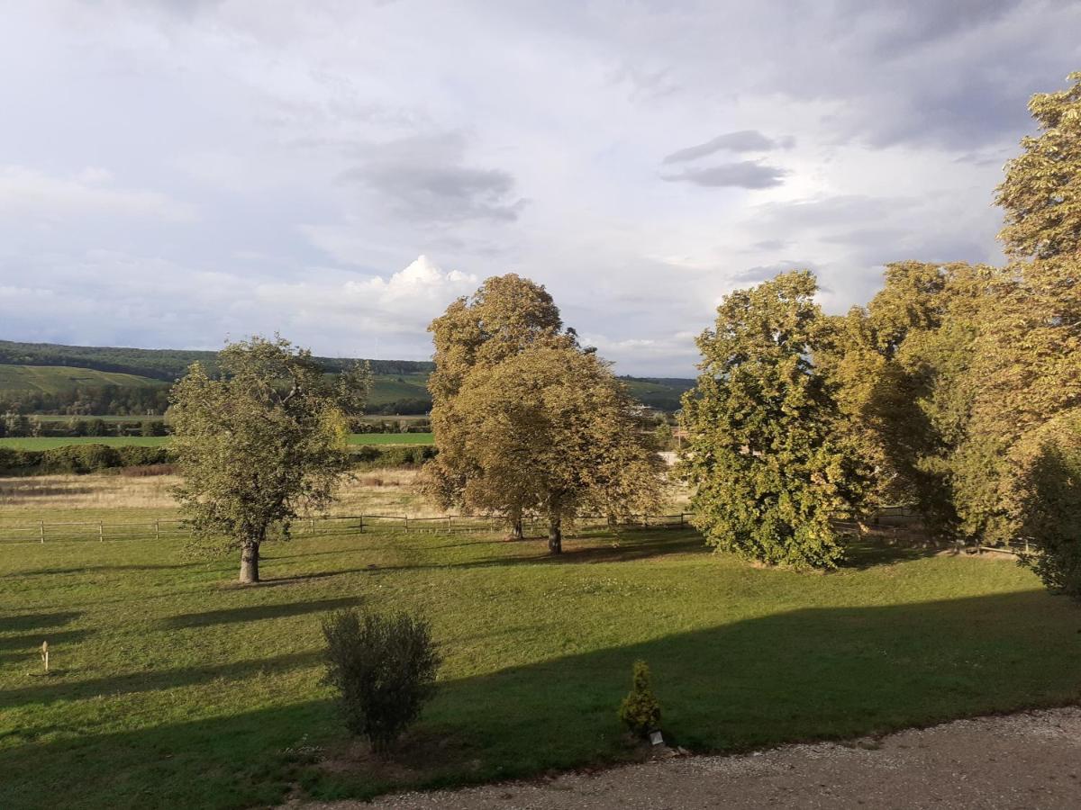 Bed and Breakfast Domaine-De-La-Borde A Epernay Mardeuil Екстер'єр фото