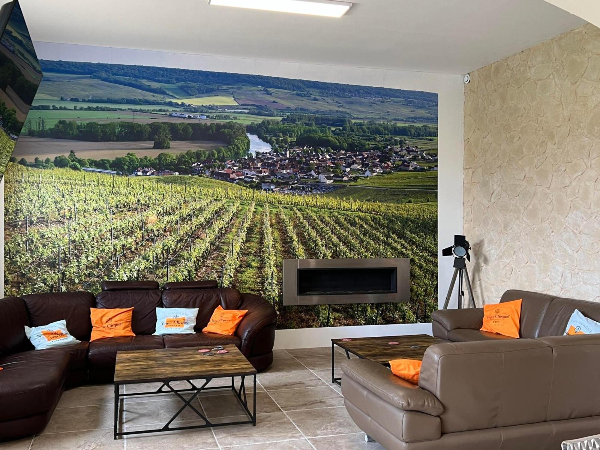 Bed and Breakfast Domaine-De-La-Borde A Epernay Mardeuil Екстер'єр фото